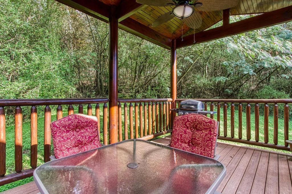 Papa Bear, Hot Tub, Wifi, 1089 Free Tickets Each Paid Day, Dollywood And More Sevierville Exterior photo